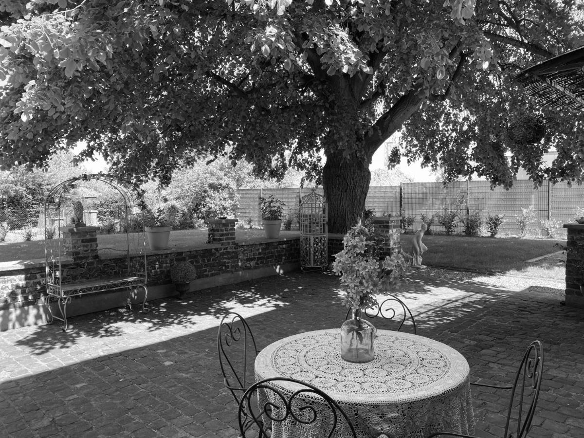 La Villa Des Roses - Suite & Spa Lys-lez-Lannoy Exteriér fotografie